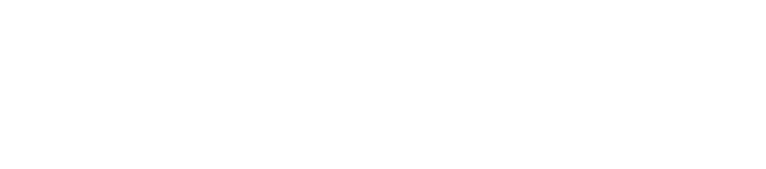 Techmaster solutions
